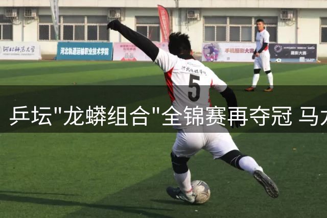 乒坛"龙蟒组合"全锦赛再夺冠 马龙许昕诠释老将传奇
