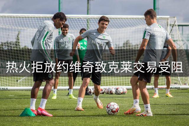 热火拒放约维奇致克莱交易受阻