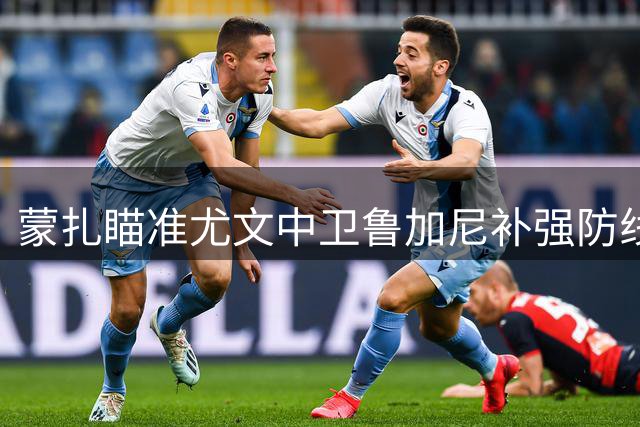 蒙扎瞄准尤文中卫鲁加尼补强防线